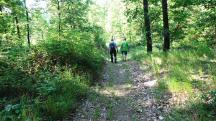 Blick auf die Wanderstrecke - auf dem Zemlinger Rundwanderweg