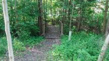 Blick auf die Wanderstrecke beim Steg �ber den Jungbrunnenbach