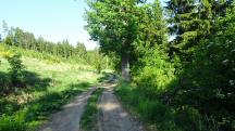  Blick auf die Wanderstrecke