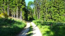  Blick auf die Wanderstrecke 