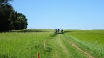  Blick auf die Wanderstrecke 