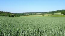  Fernblick nach Olbersdorf 