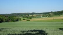  nochmals ein Fernblick nach Olbersdorf 