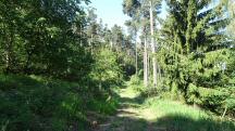  Blick auf die Wanderstrecke 
