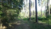  Blick auf die Wanderstrecke 