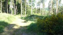  Blick auf die Wanderstrecke 