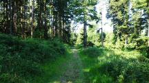  Blick auf die Wanderstrecke 