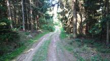  Blick auf die Wanderstrecke 