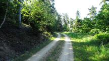  Blick auf die Wanderstrecke 