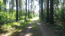  Blick auf die Wanderstrecke 