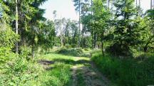  Blick auf die Wanderstrecke 