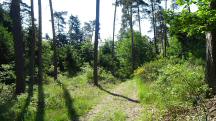  Blick auf die Wanderstrecke 