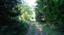  Blick auf die Wanderstrecke 