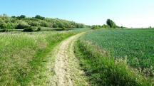  Blick auf die Wanderstrecke 