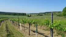  ein Blick zur�ck 