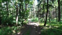  Blick auf die Wanderstrecke 