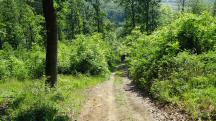  Blick auf die Wanderstrecke 