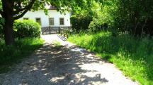 Wanderroute auf dem Forsthausweg zum Gscheinzbach