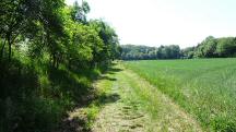  Blick auf die Wanderstrecke 