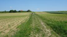  Blick auf die Wanderstrecke 