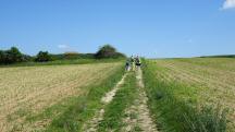  Blick auf die Wanderstrecke zum Friedhof Zemling