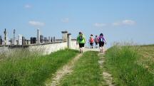  Blick auf die Wanderstrecke beim Friedhof Zemling 