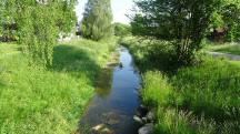  Blick auf die Perschling flussabw�rts 