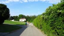 Wanderroute auf der Stockhofstra�e - entgegenkommende Wanderer vom Bahnhof