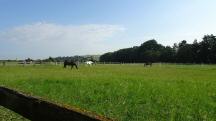  ein sch�nes Bild  