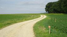  Blick auf die Wanderstrecke 