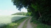  Blick auf die Wanderstrecke 