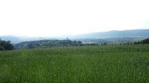  Fernblick nach B�heimkirchen 