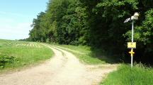  Blick auf die Wanderstrecke 