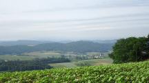 sch�ner Fernblick zum Ort Kollersberg 