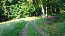  Blick auf die Wanderstrecke auf dem Kollersberg 
