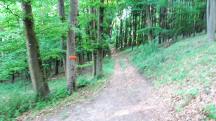  Blick auf die Wanderstrecke 