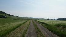  Blick auf die Wanderstrecke 