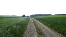  Blick auf die Wanderstrecke 