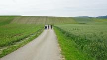  Blick auf die Wanderstrecke 
