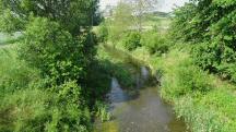  Blick auf die Perschling flussabw�rts 