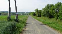  Blick auf die Wanderstrecke mit Infotafel 