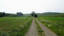  Blick auf die Wanderstrecke 