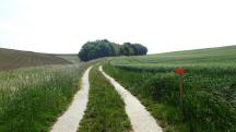  Blick auf die Wanderstrecke 