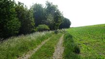  Blick auf die Wanderstrecke 