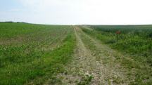 Blick auf die Wanderstrecke 