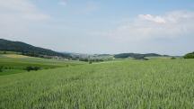  ein sch�ner Fernblick 