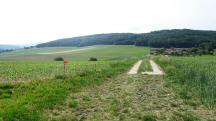  Blick auf die Wanderstrecke nach Dorfern 