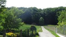 Blick auf die Wanderstrecke am Ortsende von Dorfern