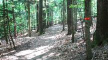  Blick auf die Wanderstrecke 