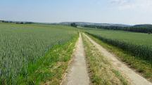  Blick auf die Wanderstrecke 